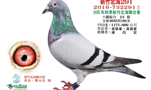 大米功效和作用是什么-东北大米功效-大米功效作用与主治,中国大米 功效网站
