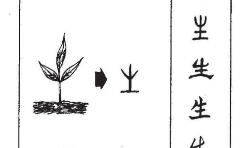 大米功效与作用及食用方法-东北大米功效-大米功效作用与主治,中国大米 功效网站